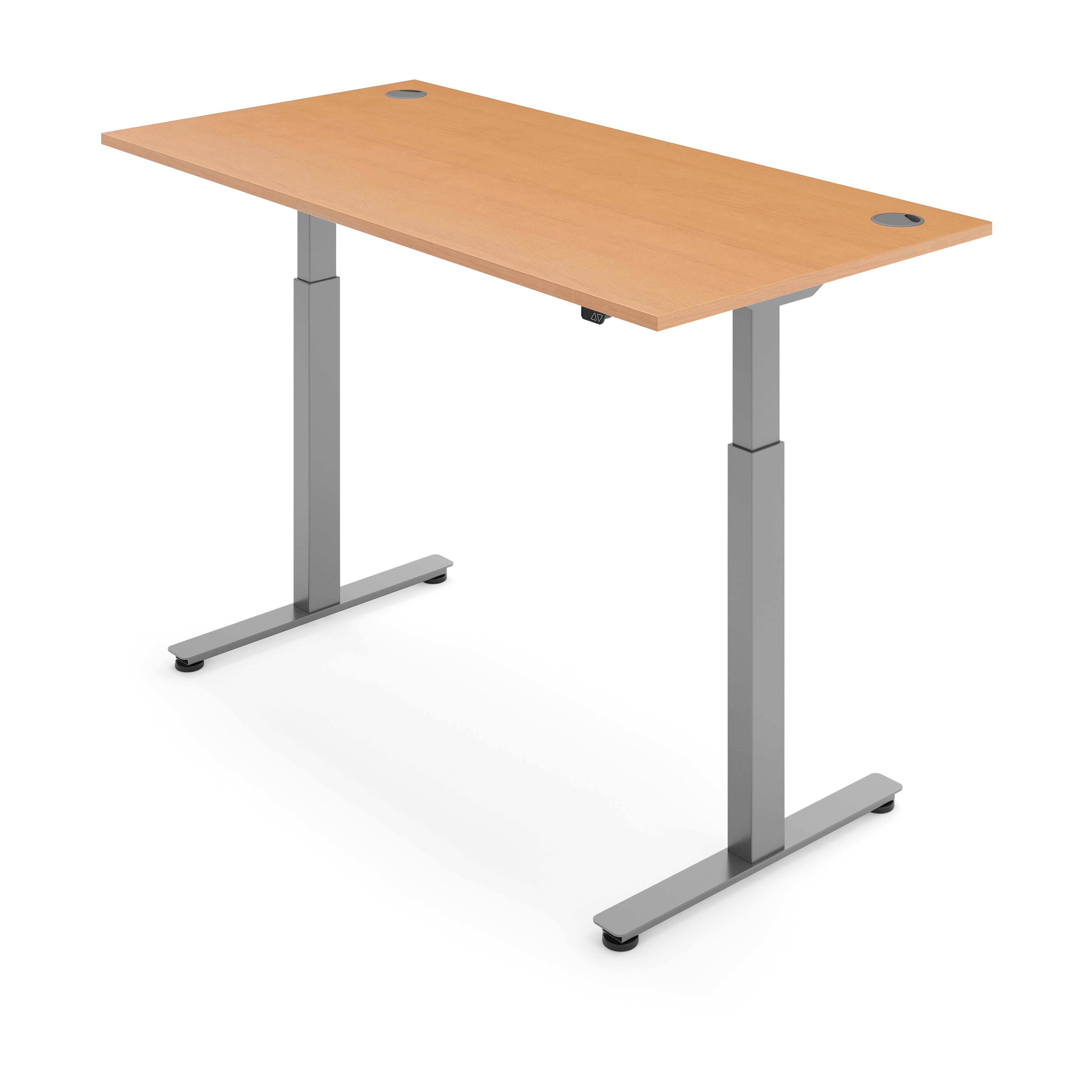 ERGO Electric Standing Desk