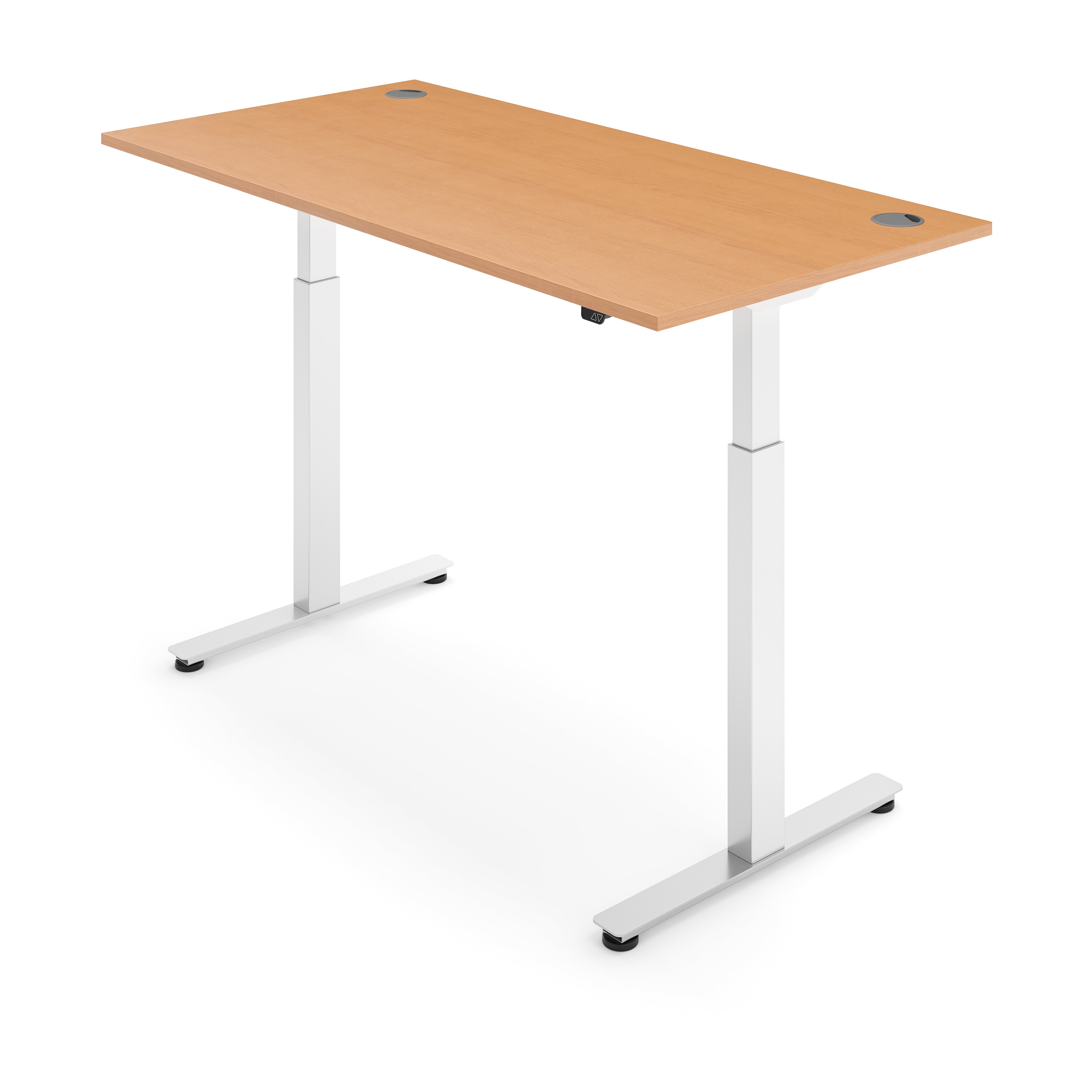 ERGO Electric Standing Desk
