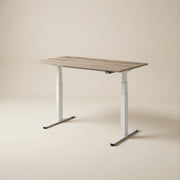 ERGO+ Electric Standing Desk