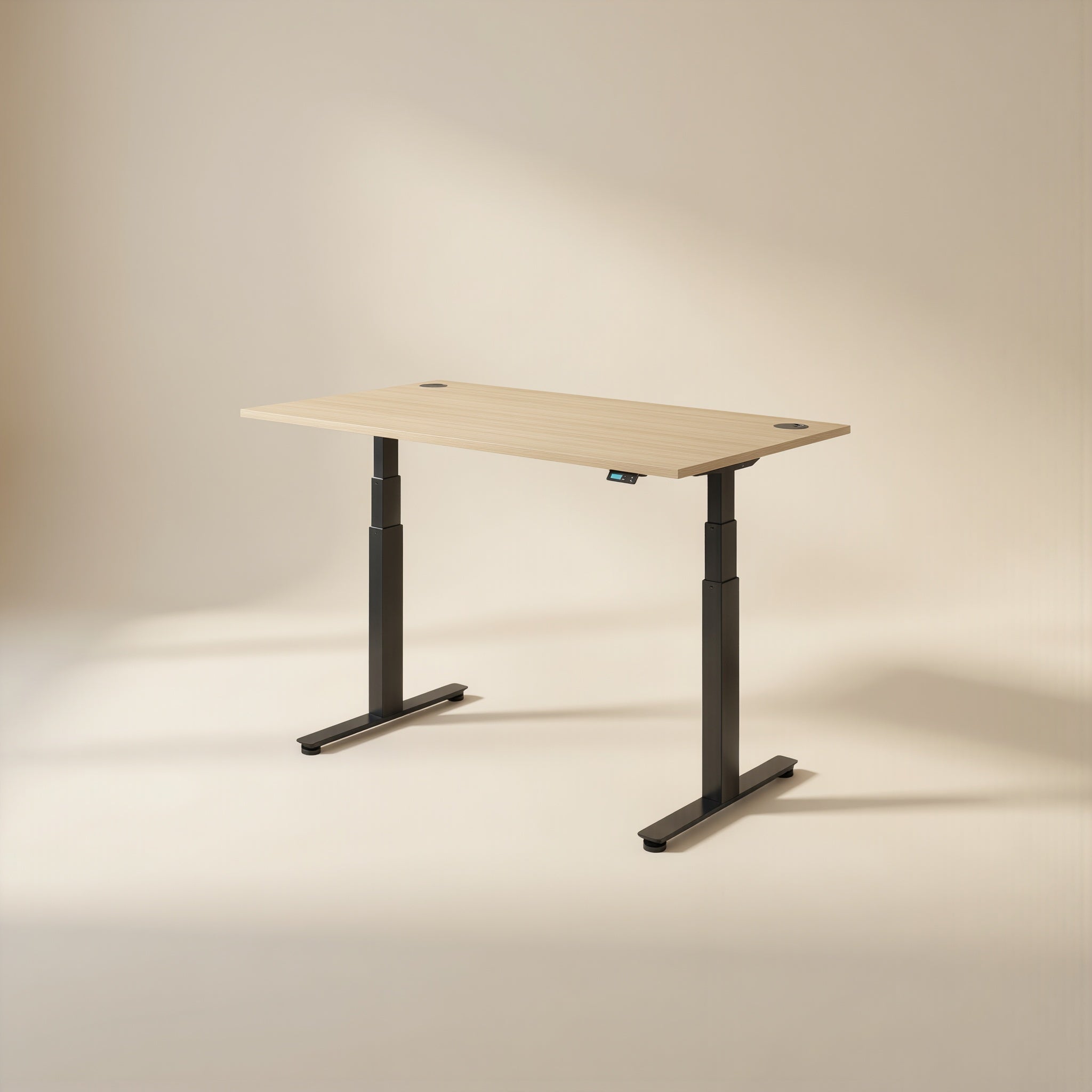 ERGO+ Electric Standing Desk