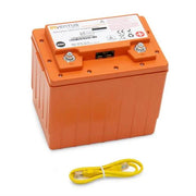 Ergotron SV LiFe Replacement Battery - ERGO Furniture  - 