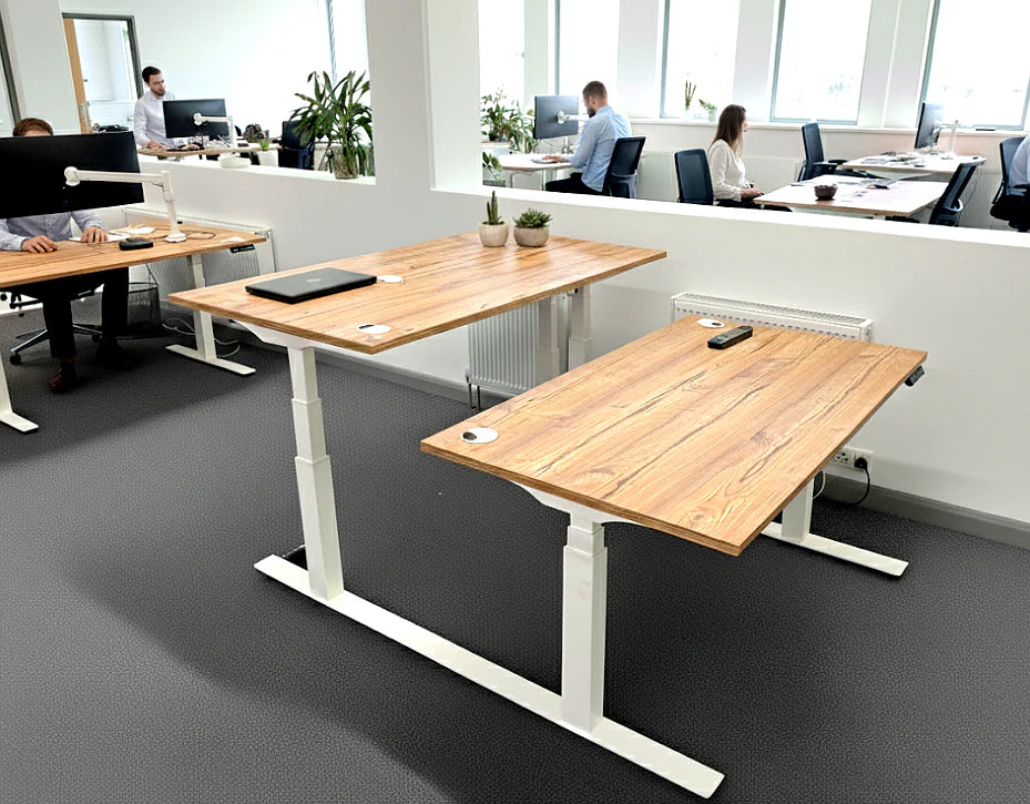 Flytta Twin Dual Height Adjustable Desk - ERGO Furniture  - 
