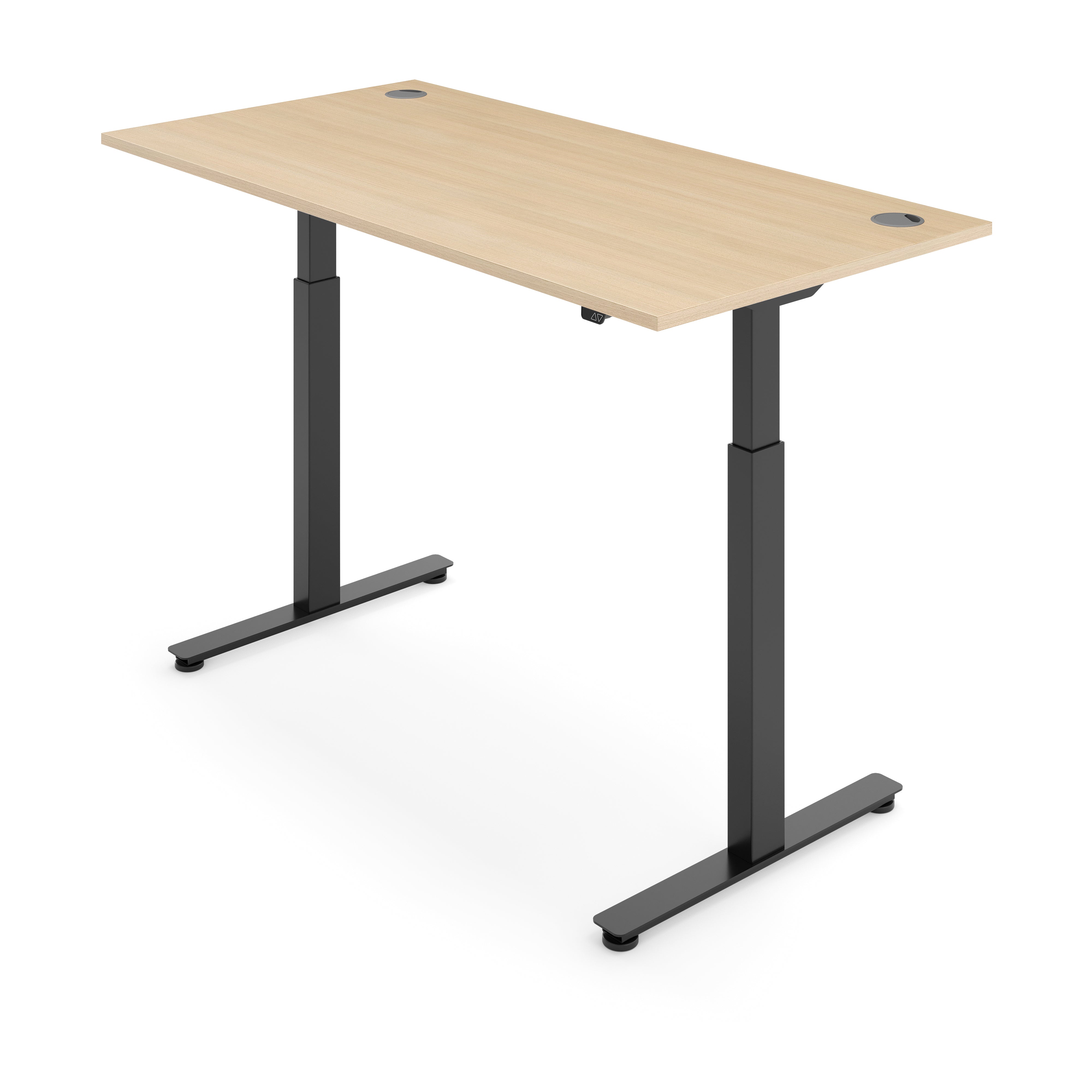 ERGO Electric Standing Desk
