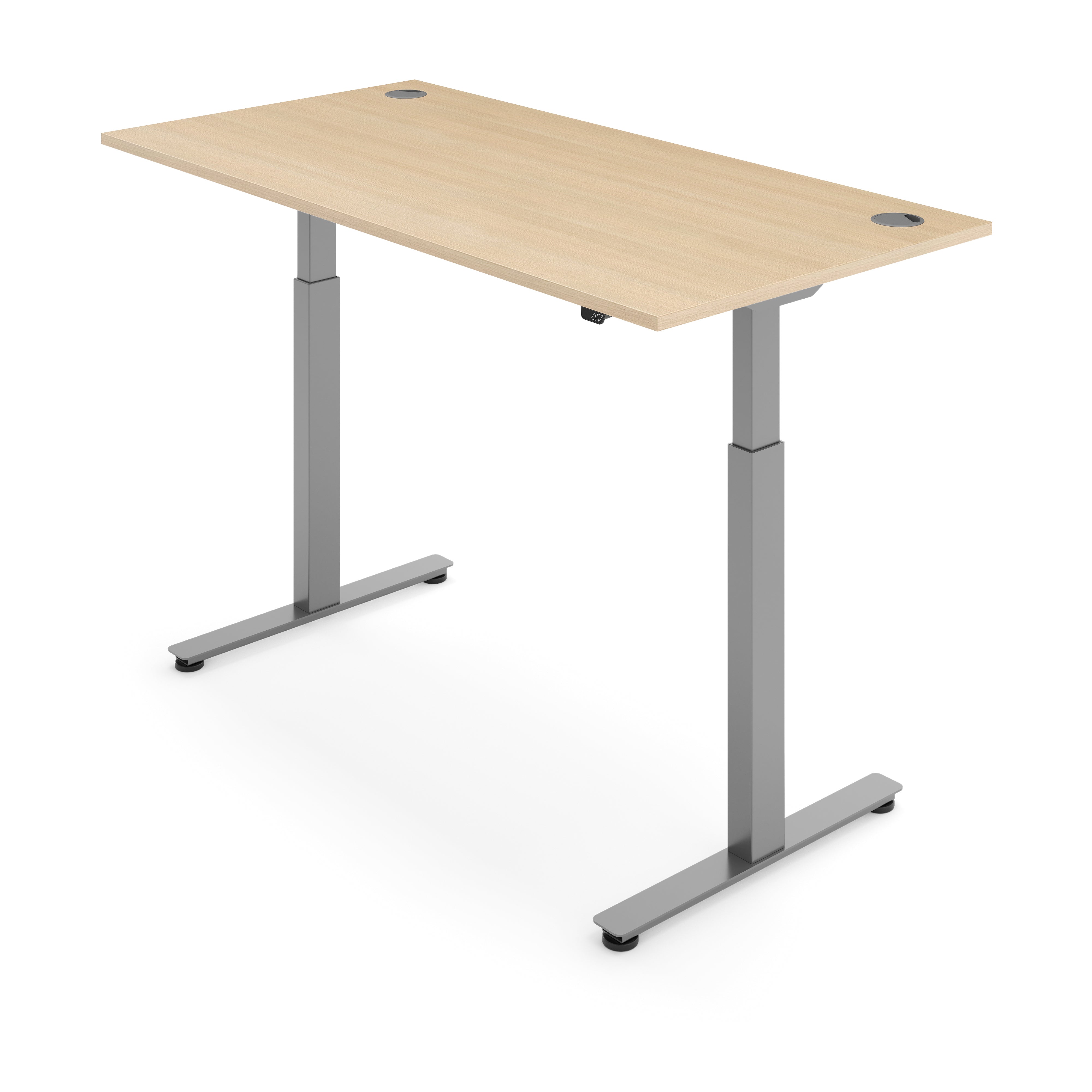 ERGO Electric Standing Desk