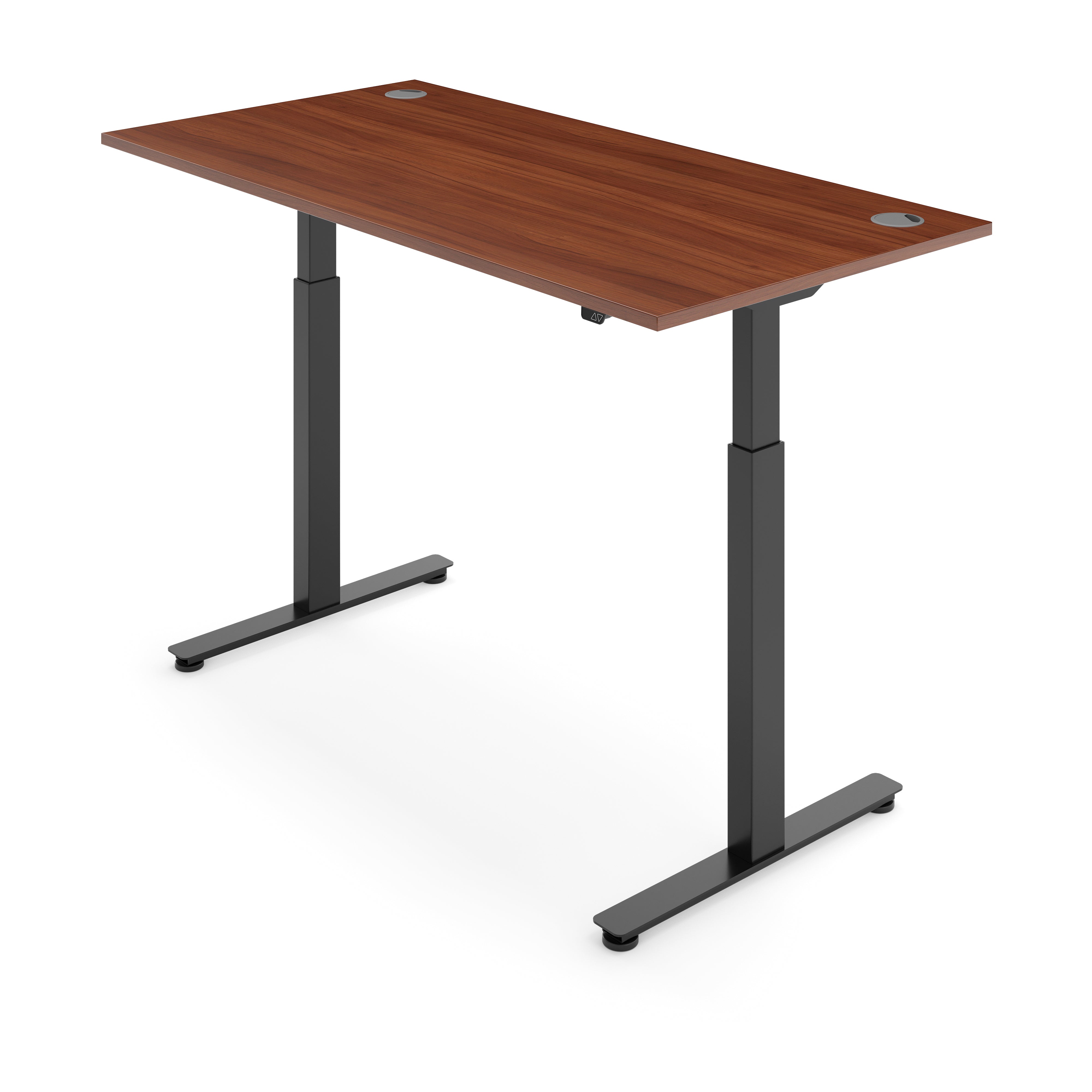 ERGO Electric Standing Desk