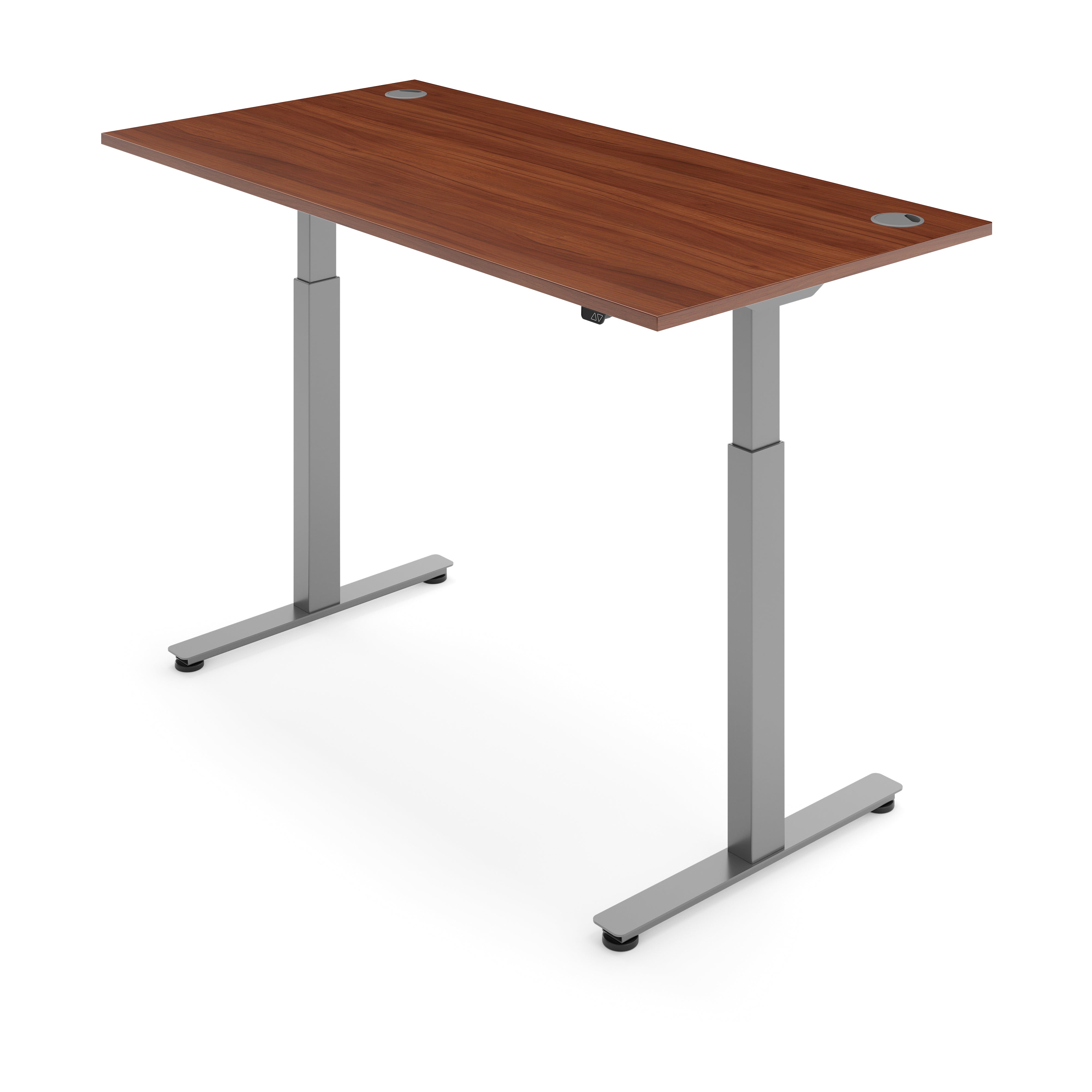 ERGO Electric Standing Desk