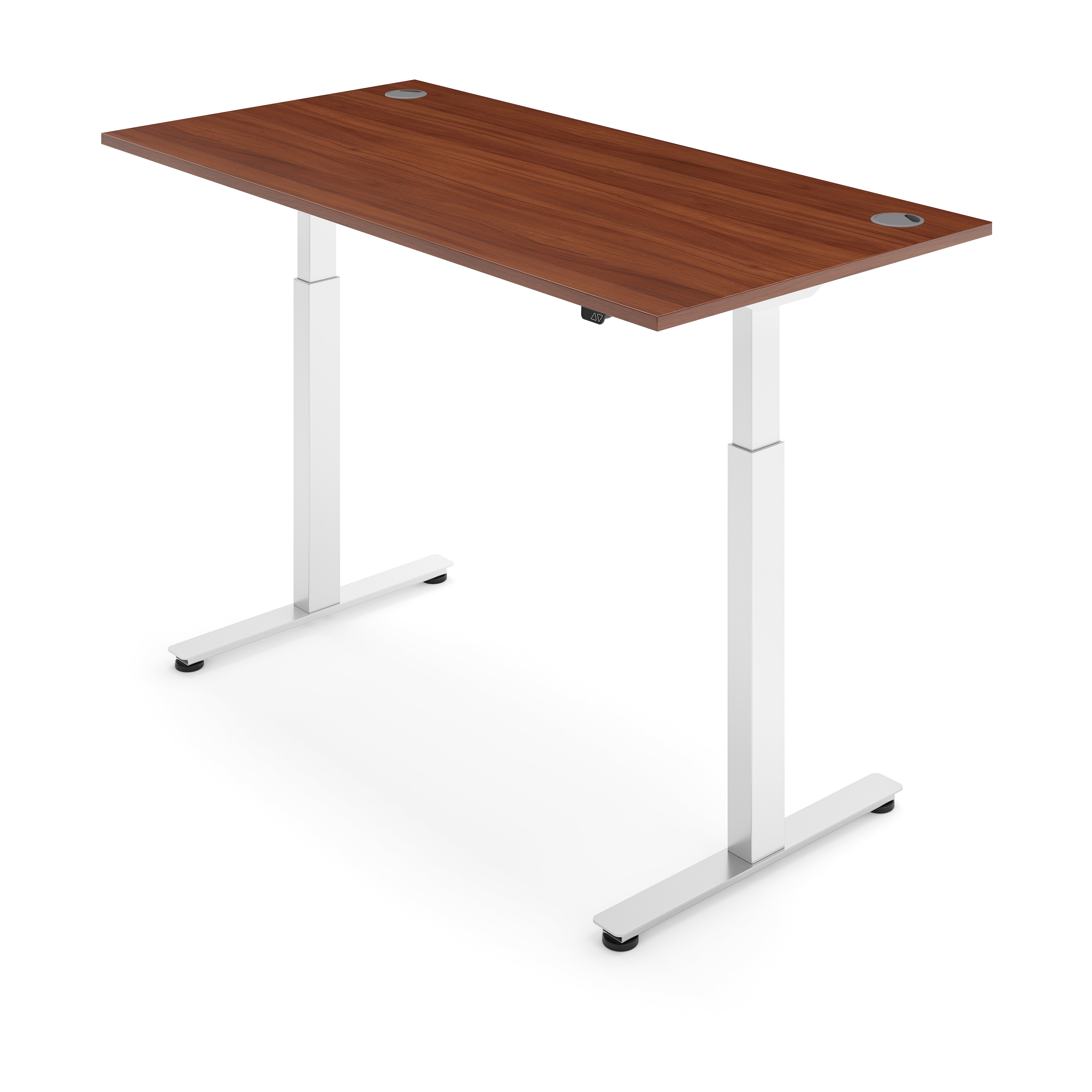 ERGO Electric Standing Desk