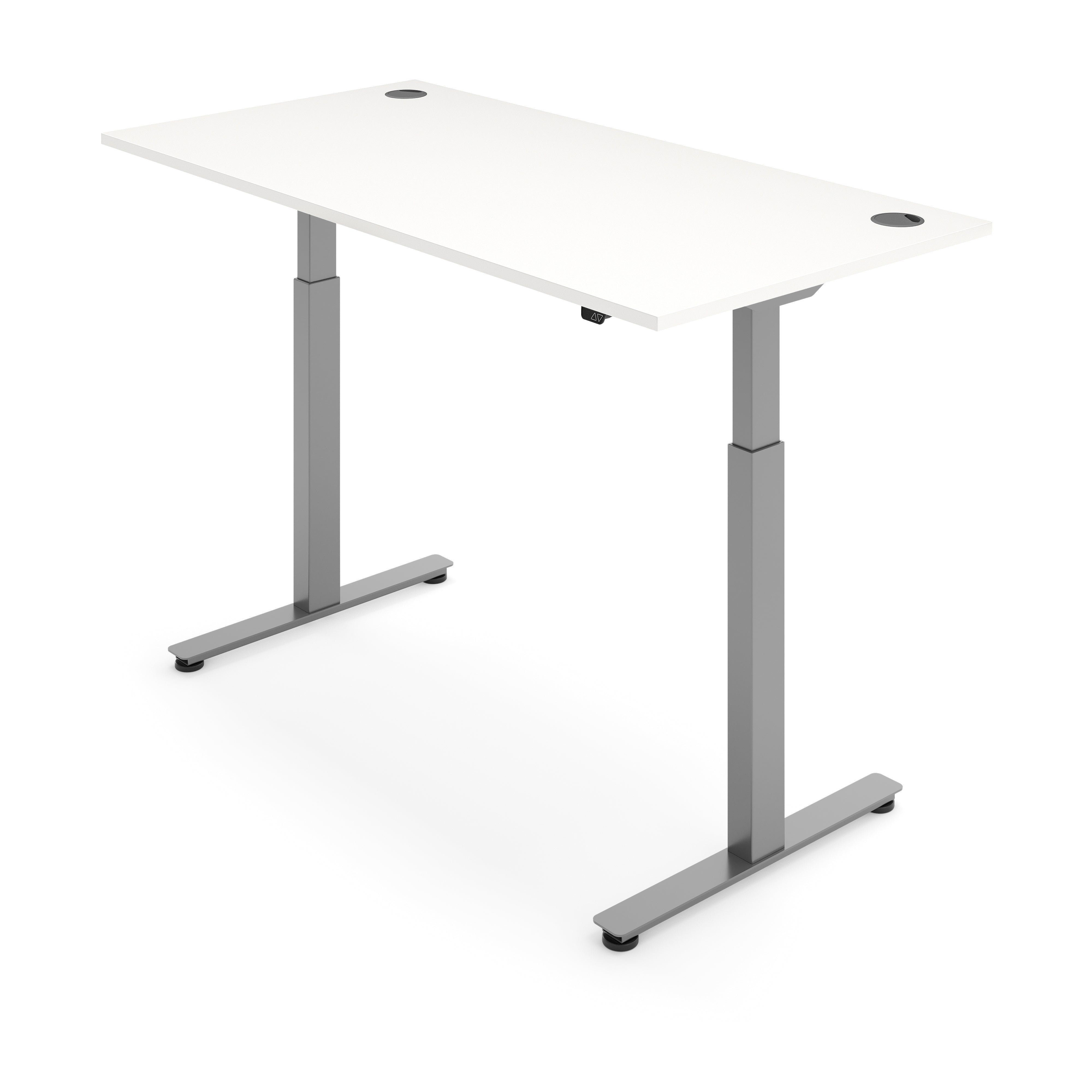 ERGO Electric Standing Desk