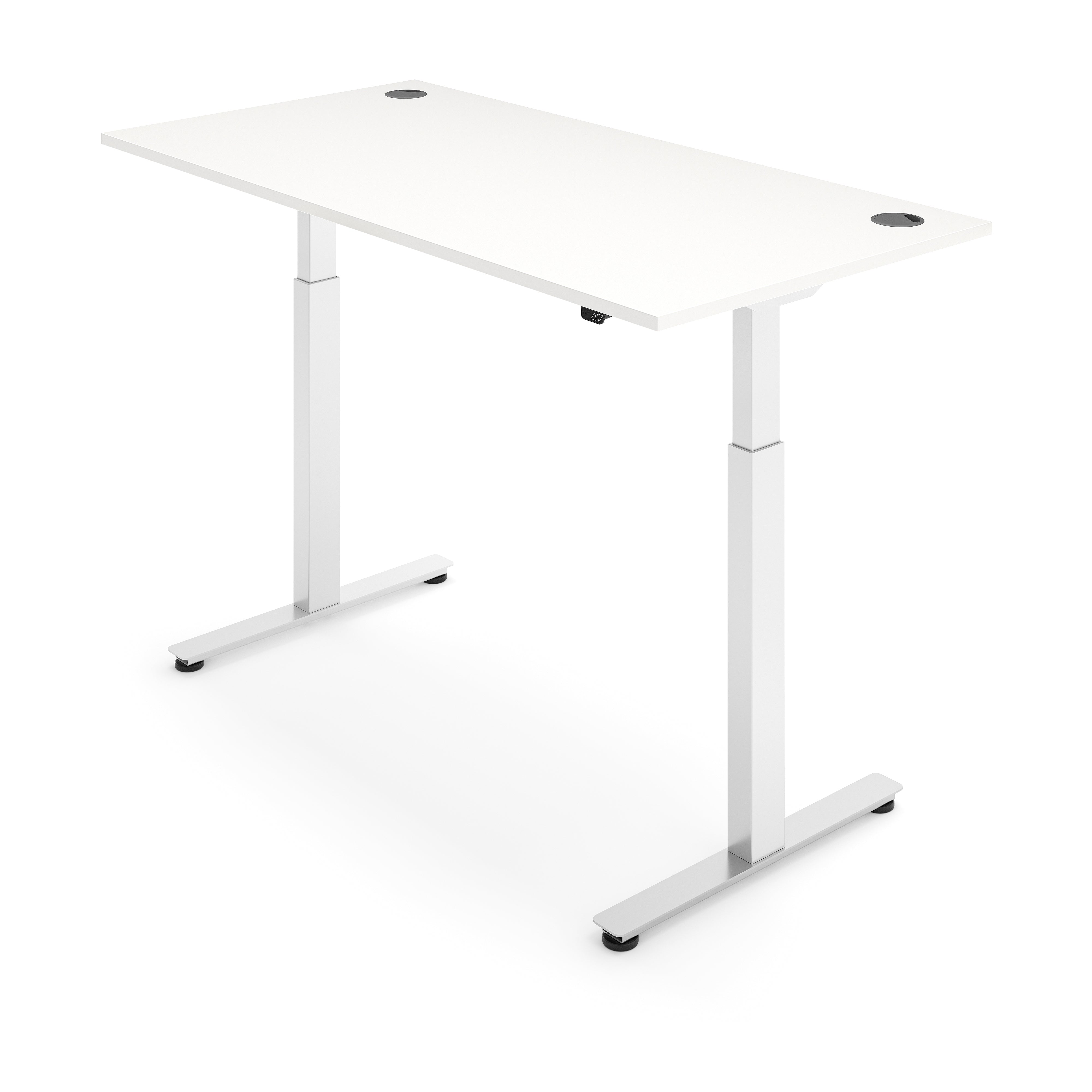 ERGO Electric Standing Desk
