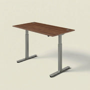 ERGO Electric Standing Desk