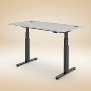 ERGO+ Electric Standing Desk