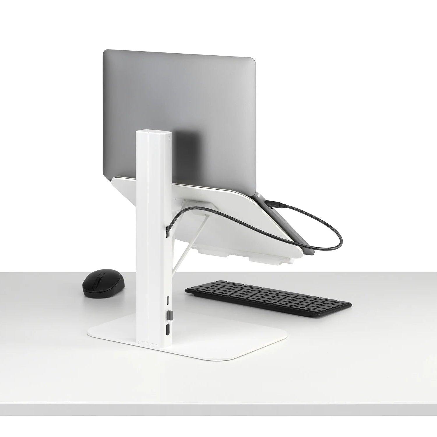 Colebrook Bosson Saunders Lana Laptop Stand
