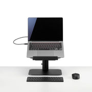 Colebrook Bosson Saunders Lana Laptop Stand