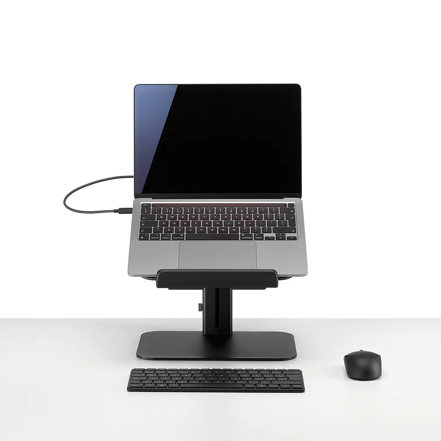 Colebrook Bosson Saunders Lana Laptop Stand