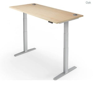 Yo-Yo Desk Pro 2+ Electric Height Adjustable Standing Desk