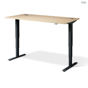 Flytta 2 Height Adjustable Desk