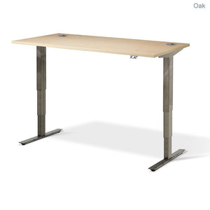 Flytta 2 (Raw Steel Finish) Height Adjustable Desk